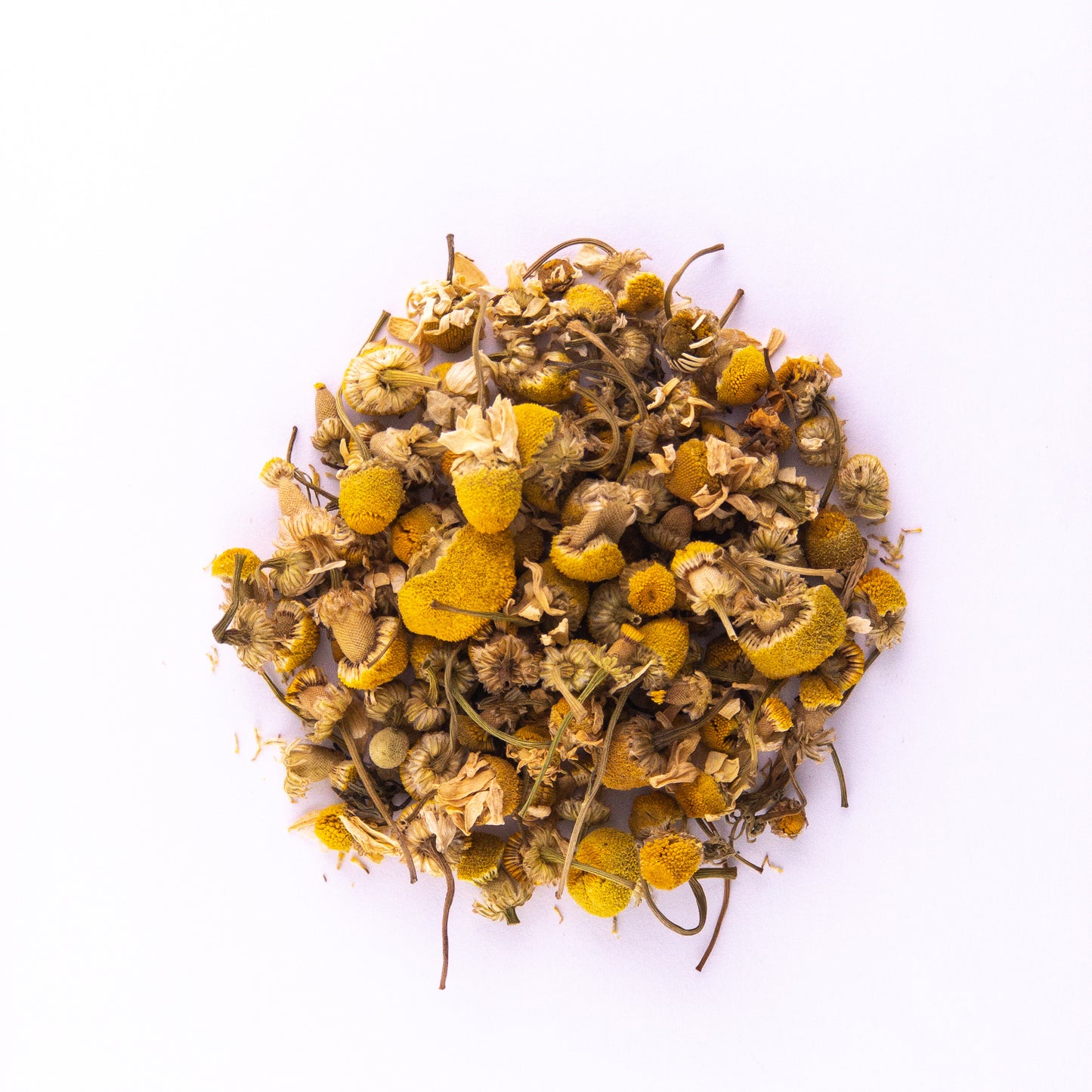 
                  
                    Crescent City Chamomile
                  
                